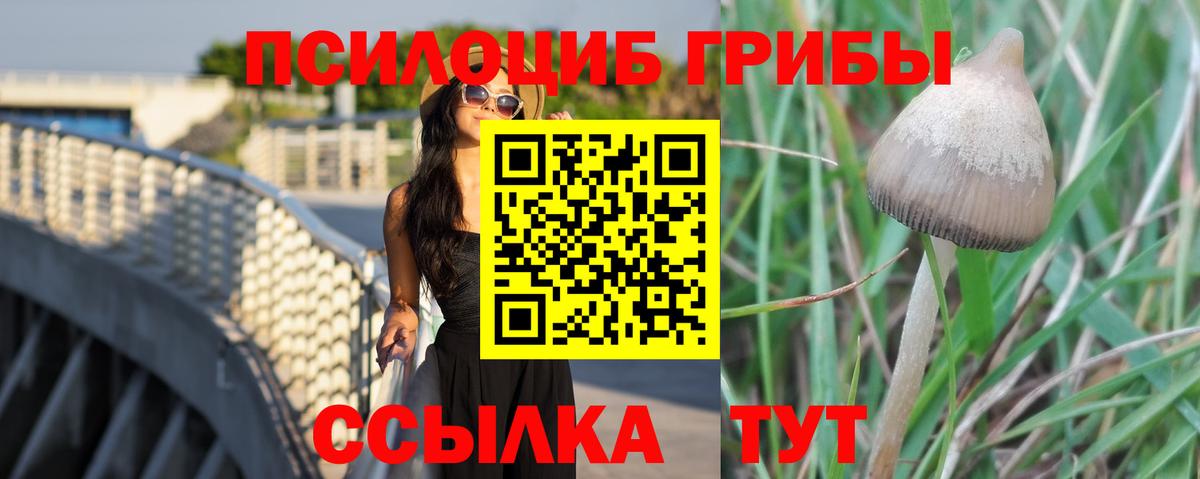 Верхний Уфалей  Псилоцибиновые грибы ЛСД  Вход с VPN 